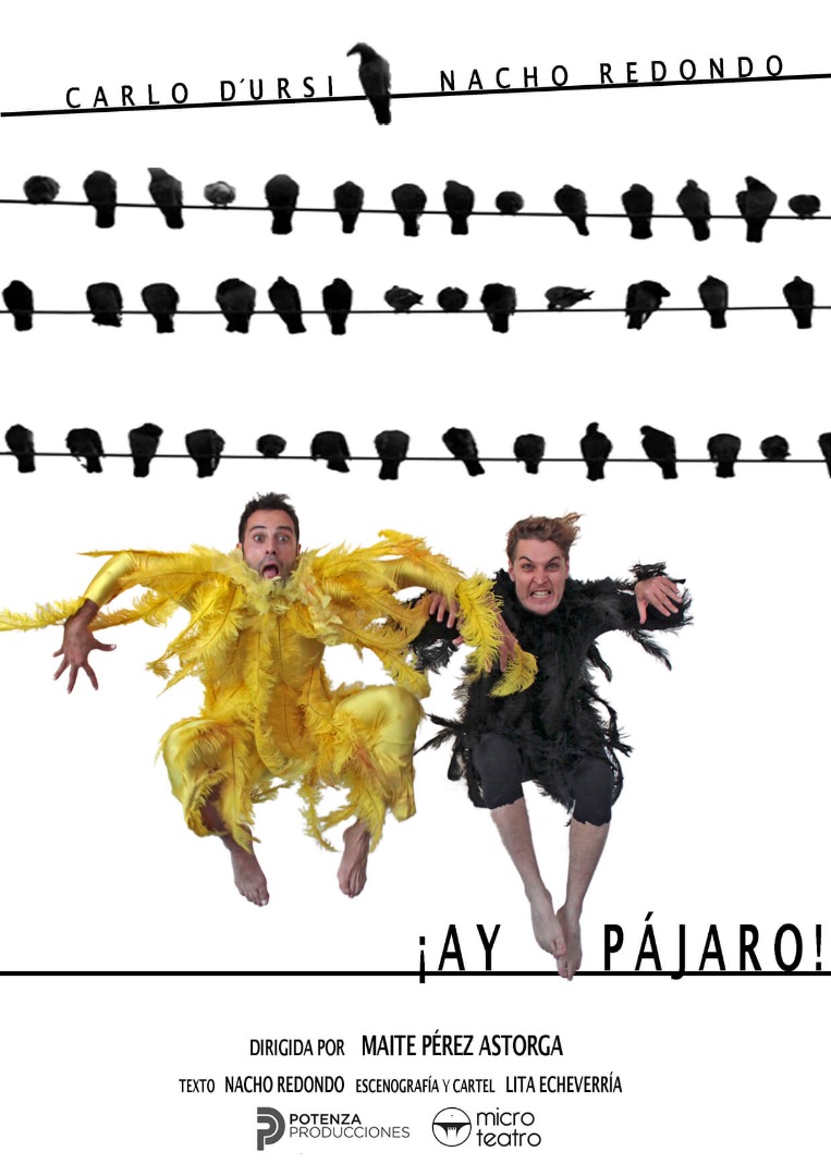 ¡Ay, pájaro! - Microteatro